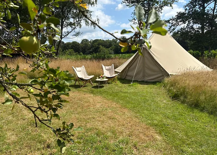 Οργανωμένο κάμπινγκ Boutique Tent Bij Laaken Op Unieke Plek In Het Met Luxe Bed Vorden